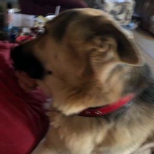 Meet your Posher, Becky